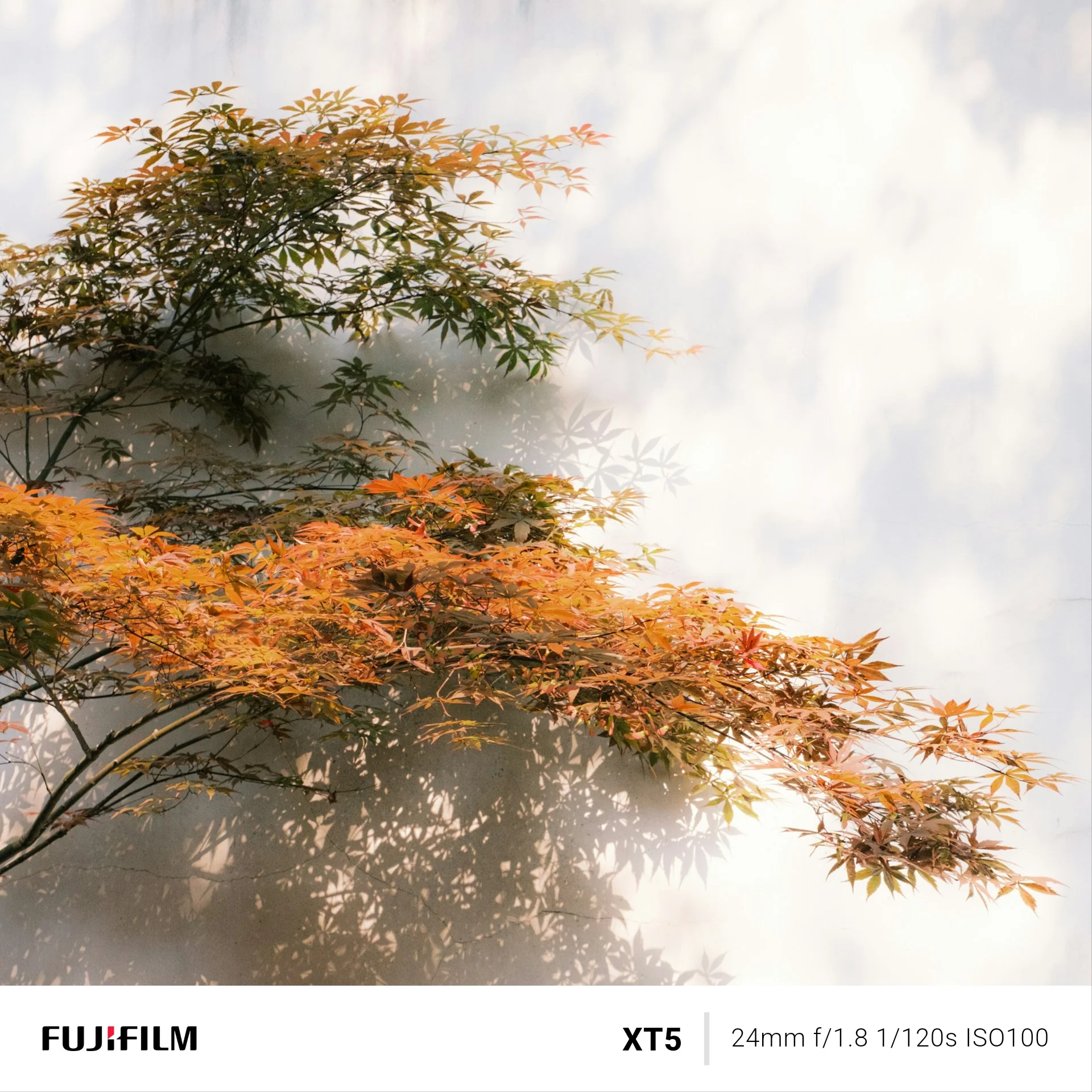 Classic Bar template — bottom parameter bar